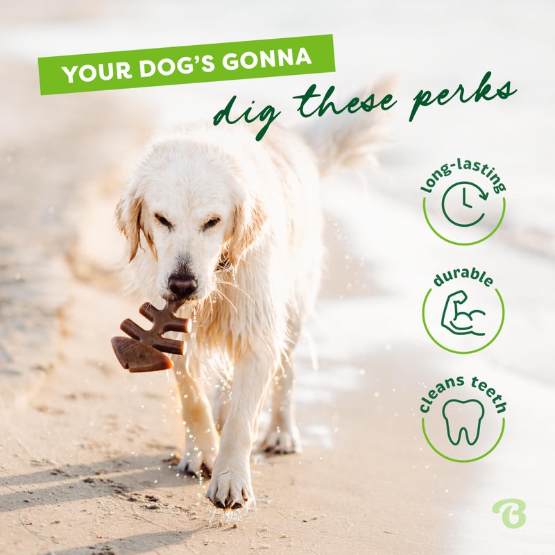 Benebone Fishbone Durable Dog Chew Toy for Aggressive Chewers, Real Fish, Made in USA, Medium - Image 3