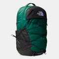 THE NORTH FACE Green