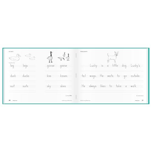 Learning Without Tears Age 7+, 2nd Grade+, Handwriting Practice, Writing Book, School & Home, Language Arts, Tutoring, Sensory - Image 5