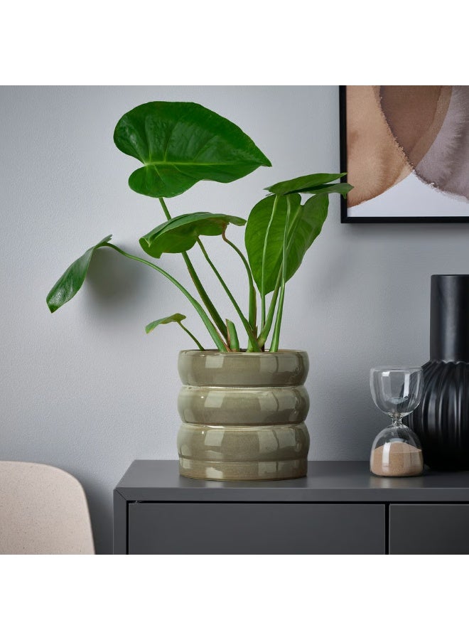 Green-Brown Plant Pot – Indoor & Outdoor Decorative Flower Pot, Durable and Stylish, 15 cm Diameter - Image 2