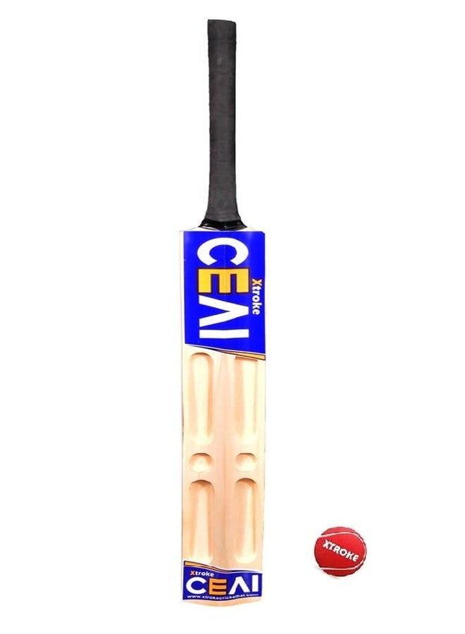 اكستروك مضرب كريكيت فاخر من خشب الصفصاف بتصميم XTROKE CEAI Scoop مع كرة للرجال والكبار، مناسب لجميع أنواع كرات التنس، ومباريات البطولات (مقاس 6). - Image 1