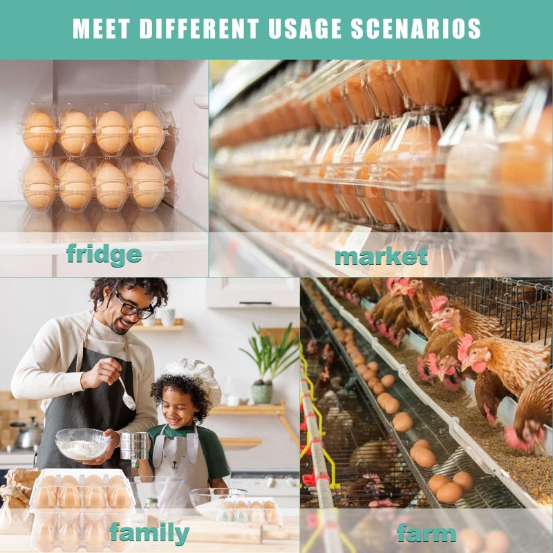 SINLUCESCE 100 Packs Egg Cartons Cheap Bulkï¼ŒPlastic for 12 Eggs, Clear Egg Cartons 3 * 4 Gridsï¼ŒPerfect for Refrigerator Chicken Farm Markets Commercial Business Market Display - Image 4