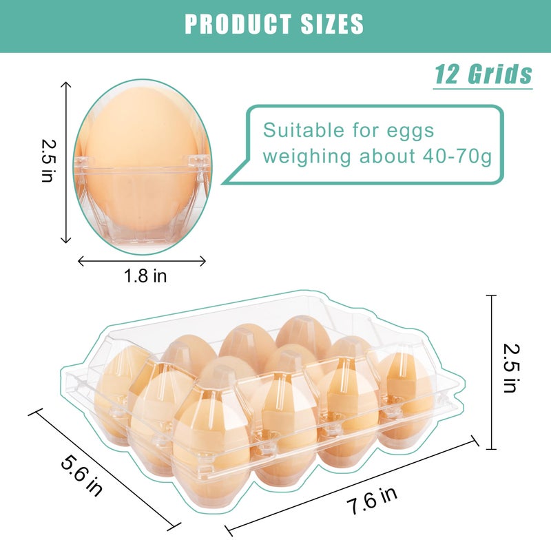 SINLUCESCE 100 Packs Egg Cartons Cheap Bulkï¼ŒPlastic for 12 Eggs, Clear Egg Cartons 3 * 4 Gridsï¼ŒPerfect for Refrigerator Chicken Farm Markets Commercial Business Market Display - Image 5