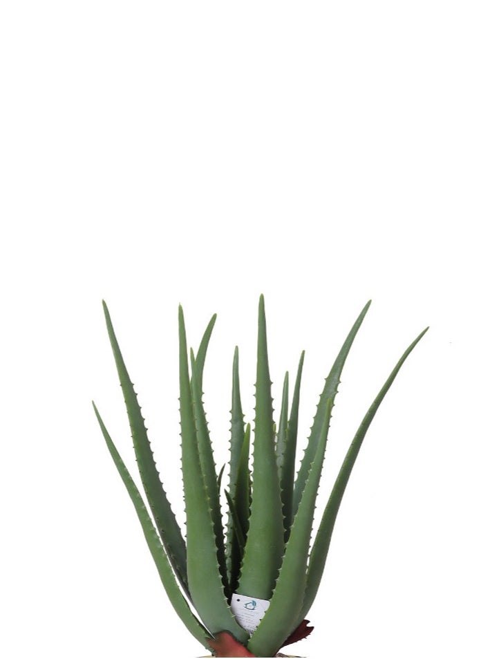 co arma Artificial Tree Simulating Natural Cactus Tree in Shape and Texture 60cm  - Image 2