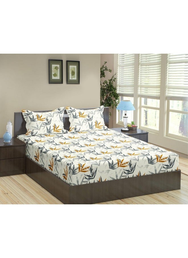 Trance Home Linen 180Tc 100% Cotton 78"X72" Standard King Size Elastic Fitted Bedsheet|Printed King Bed Size Elasticated Fitted Bedspread With 2 Pillow Covers(King 78X72 Inch,Grace Leaves),180 TC - pzsku/Z8B52F9DCDD70F6796CB4Z/45/_/1741429365/8dc8a3ae-5d11-4aa9-a0da-0367ebc23868