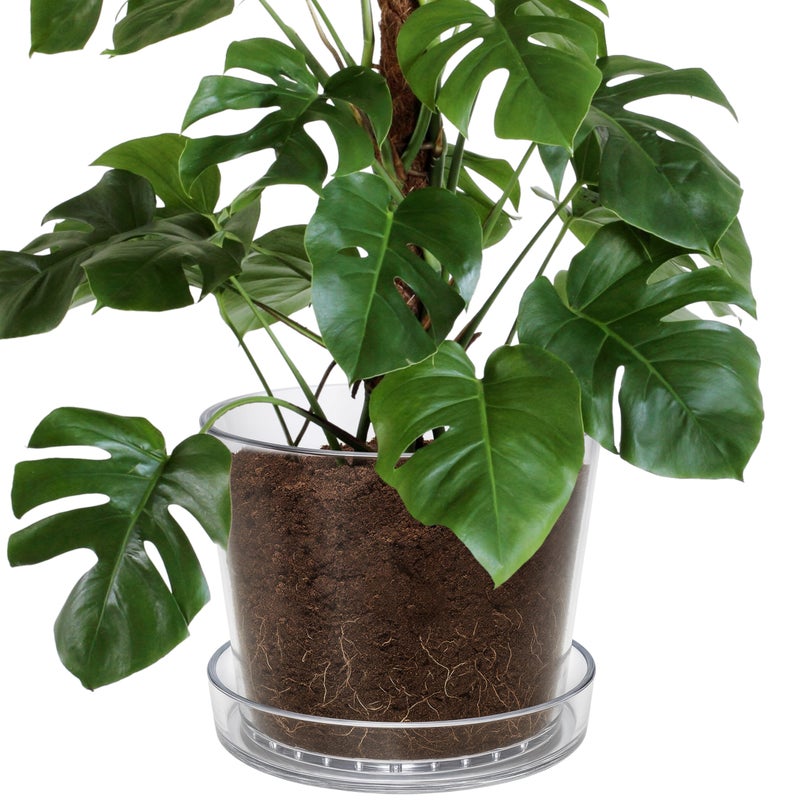 Phoenix Vine 12 Inch Clear Acrylic Planter Pot with Tray, Orchid Pot with Drainage Holes, Deep Saucer for Bottom Watering, Transparent Containers for Indoor Plants, Herbs, Set of 1, 91-A-I-1 - Image 1