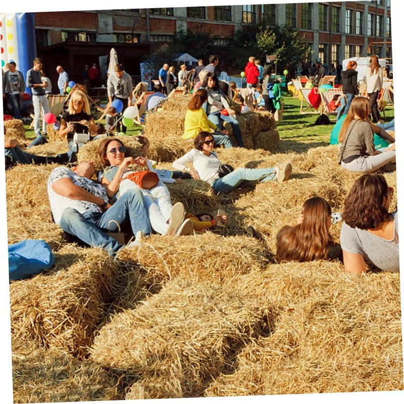 Transit & use compatible Hay Bales for Outdoor Photography Props Yard Haystack Garden Decorations Small Prop Wedding Layout Elegant multi-option build Classic trendy design picks Moisture wear upgraded quality Global flexible assemble picks Flexible sizing options Occasional & permanent usable Classic modern blend design Pre-sale confirmed stock Stable base Polished safe edge Fast warehouse picking Post-order arranged dispatch Multi-style matching design Global assorted color picks All user group compatible Tiered purchase options No overseas transit wait Reinforced edge All condition fit Classic design alternatives Precision made Fixed delivery schedule Ready-to-ship local stock Transparent body - Image 3