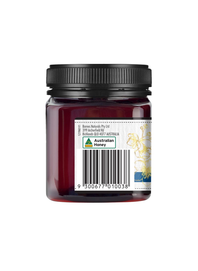 Barnes Natural - Barnes Naturals Australian Manuka Active Honey MGO-550+, 250 gm - Image 1