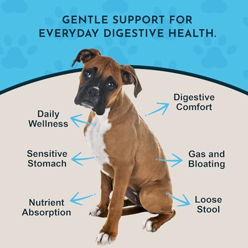 Animal Essentials Daily Digestion for Dogs & Cats - Digestive Support, Fresh Breath, Ginger Root, Fennel Seed Extract, Liquid Supplement - 2 Fl Oz - Image 3