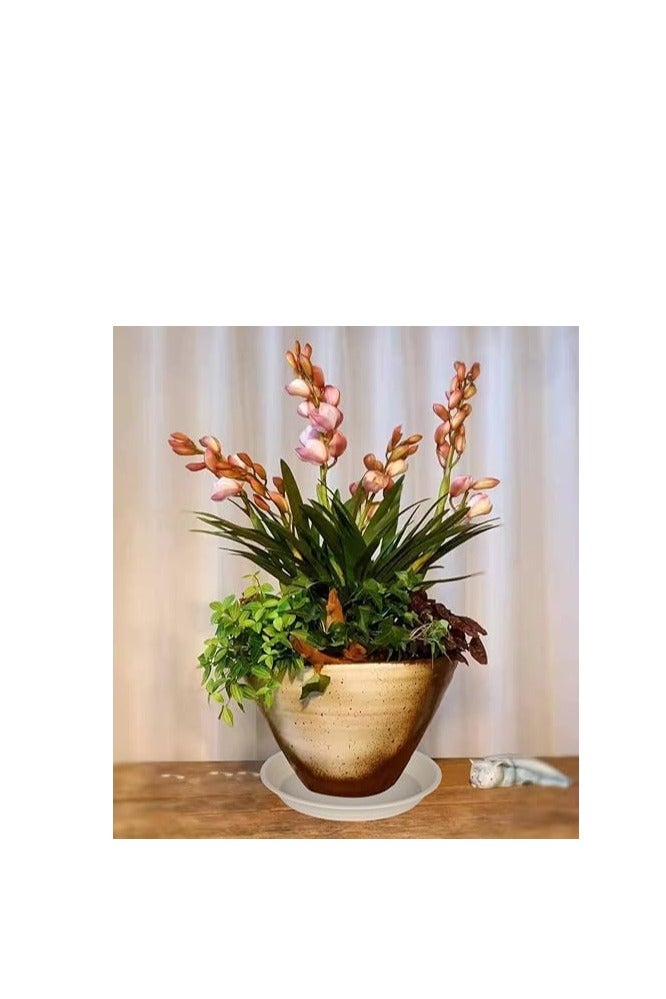 , Planter Pot, Planter Tray Saucer Pots, Planter Tray, Plant Saucers, Plastic Plant Saucers, Shallow Trays Flower Pot for Indoor and Outdoor Plants Beige (10, 25cm) - Image 4