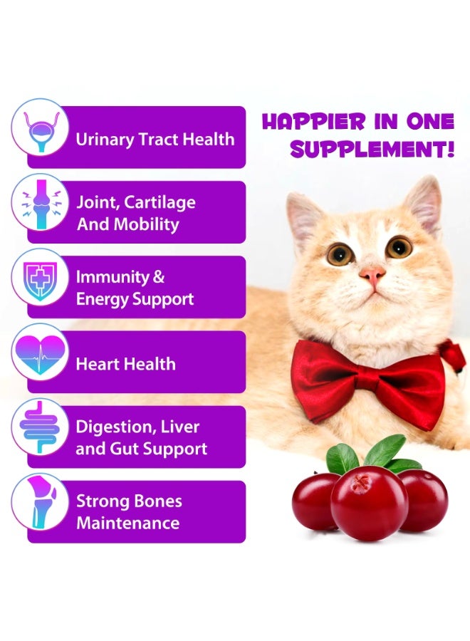 Oimmal 15 in 1 Multivitamin for Cats 60ml, Multivitamin Liquid Drops for Cats Helps With Immune System Skin & Coat, Heart Health, Bone & Joints 100% Natural Cat Vitamins for Improving Hip Joint Skin Coat & Health - Image 4