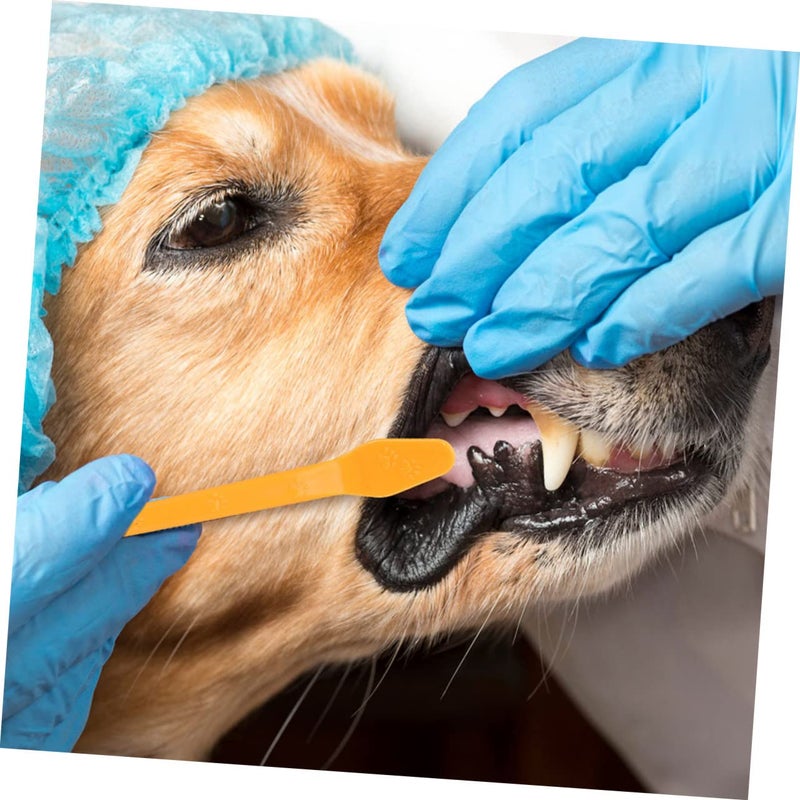 Pet Toothbrush Set 8 Pieces Soft Bristles Handheld Dog Toothbrush For Oral Cleaning - Image 4
