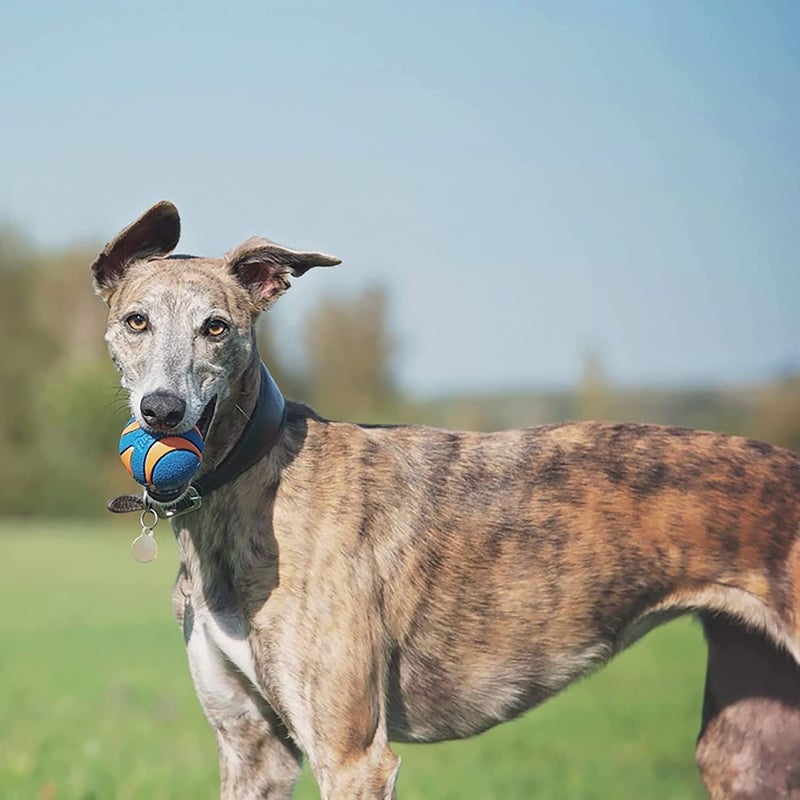 Chuckit! (3 Pack) Chuck It! Ultra Squeaker Ball, Large - Image 4