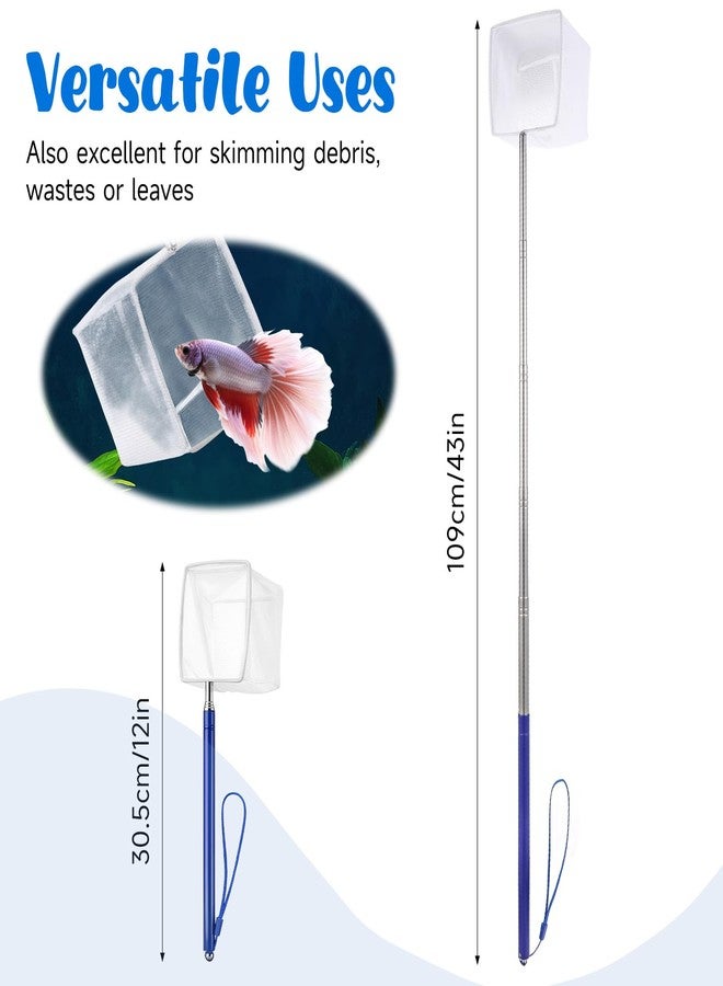 Macuezu 3 Inch Fine Mesh Shrimp Net, Tiny Fish Net for Shrimp Baby, Long Handle Small Fishes Tank Tool for Bettas, Extendable Stainless Steel Handle, Small Tank & Pond Cleaning Nets - Image 3