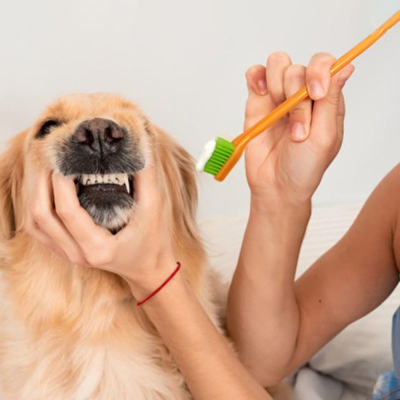 MILISTEN Pet Toothbrush For Cats And Dogs Soft Bristles Easy To Use Blue Household Cat Supply - Image 5