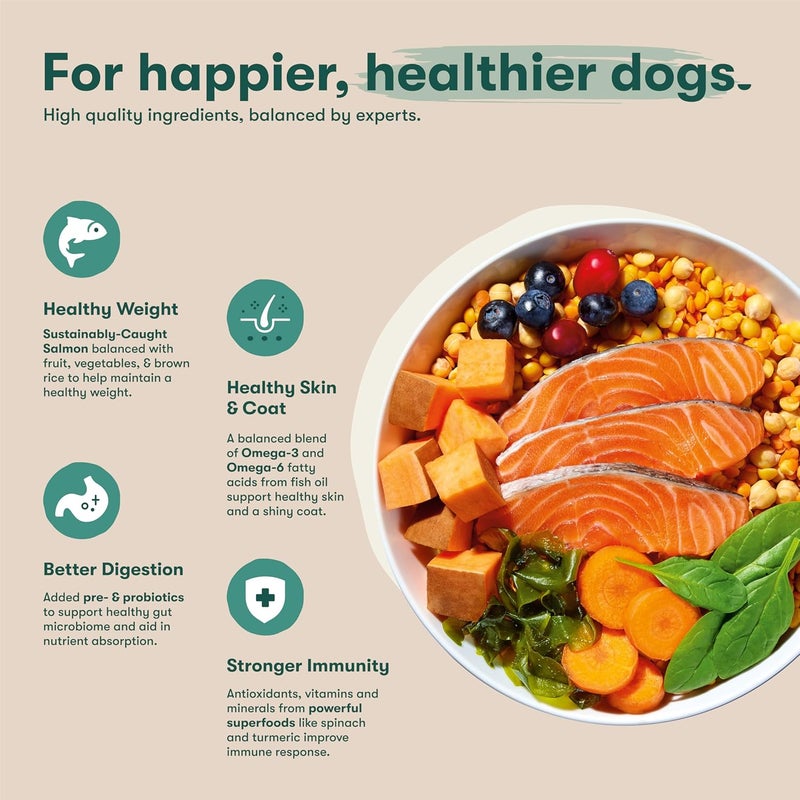 JINX Natural Grain-Free Kibble - Dry Dog Food - Made with Superfoods, Probiotics, & No Fillers - for Puppies, Adults, and Seniors, 11.5 lb. Bag - Salmon & Carrot - Image 3