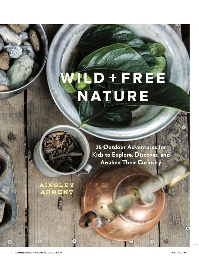 Wild and Free Family Activities Collection: 4-Book Box Set  - Image 5