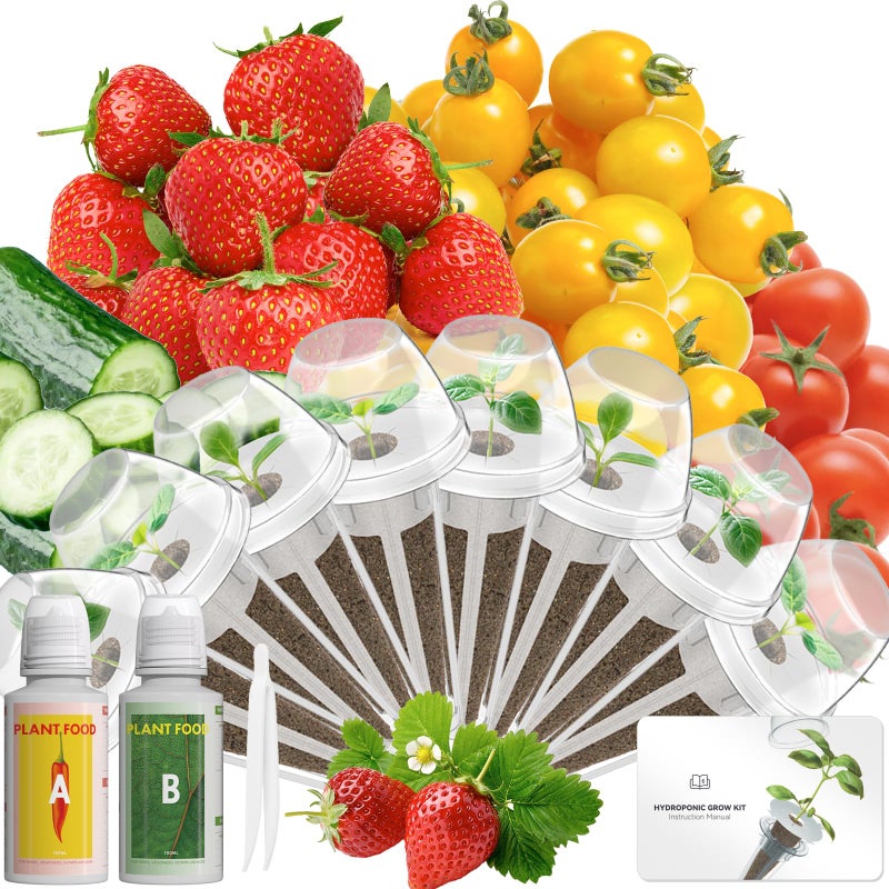LYKOCLEAN Fruits Seed Pod Kit for AeroGarden, Ahopegarden, iDoo, GARDENCUBE, MUFGA with Strawberry, Cucumber, Red/Golden Cherry Tomato, Compatible with All Indoor Hydroponics Growing System, 8-Pod - Image 1
