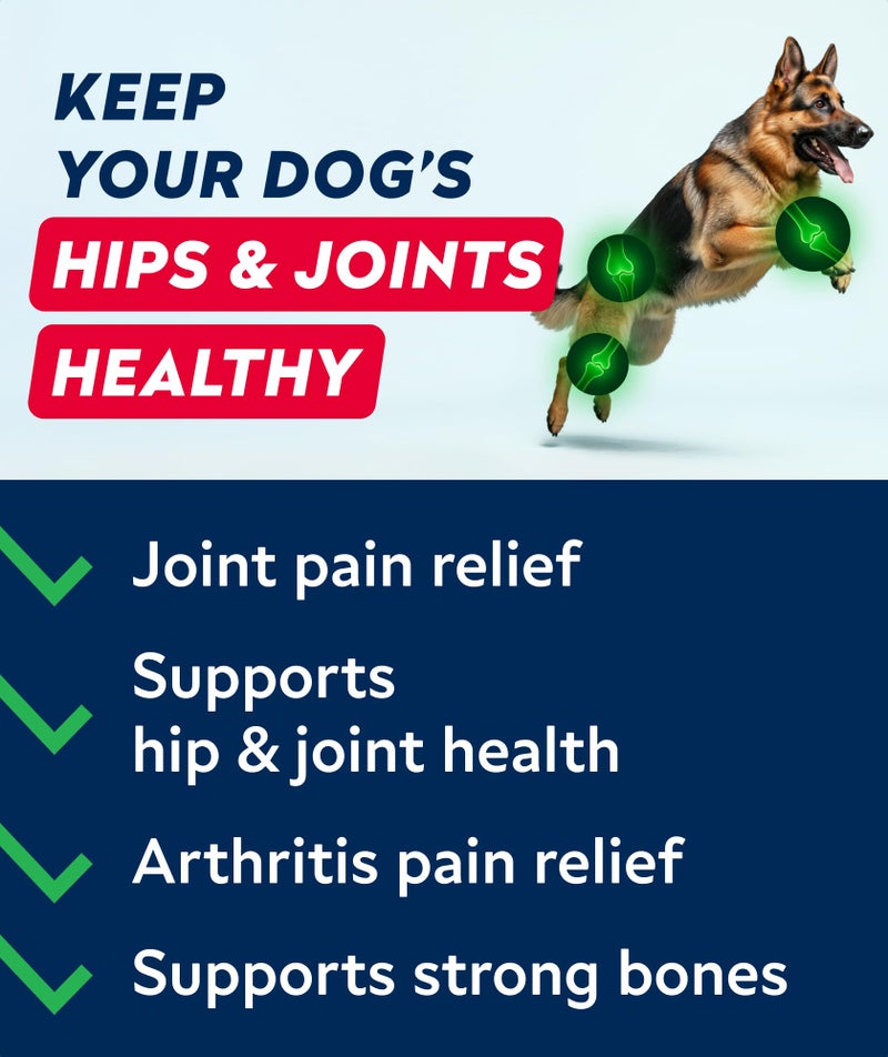 StrellaLab Glucosamine Treats for Dogs - Joint Supplement w/Omega-3 Fish Oil - Chondroitin, MSM - Advanced Mobility Chews - Joint Pain Relief - Hip & Joint Care - Bacon Flavor - 240 Ct - Made in USA - Image 3