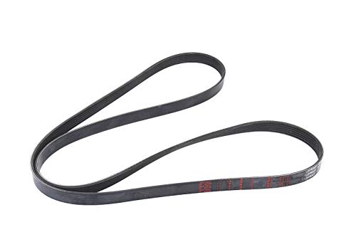 ACDelco GM Original Equipment 12647764 VRibbed Serpentine Belt