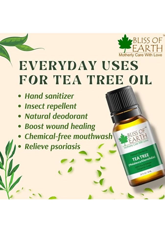 BLISS OF EARTH Bliss of earth Premium Tea Tree & Rosemary & Lemongrass Essential Oil Pure Natural Therapeutic Grade Combo 10ml Pack of 3  - Image 2