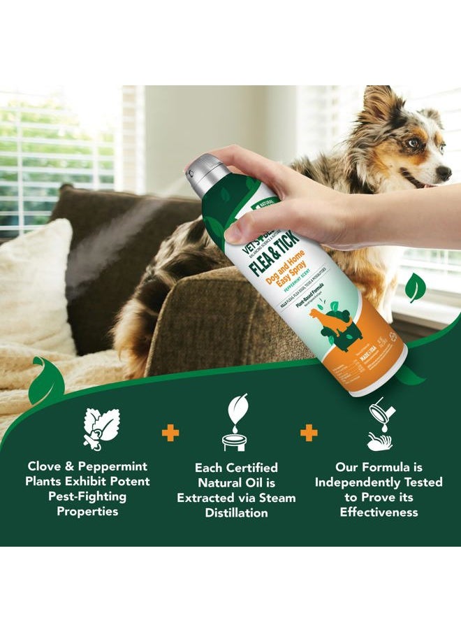 Vet's Best Flea and Tick Home Spray, Dog Flea and Tick Treatment for Home, Plant-Based Flea and Tick Prevention for Dogs, Dog Flea & Tick Control and Mosquito Repellent, Certified Natural Oils, 14 oz  - Image 5