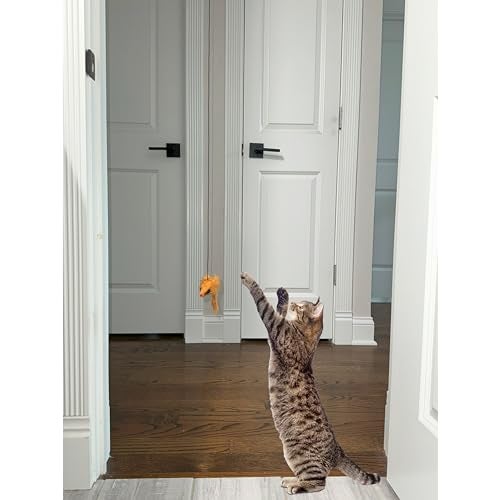 SPOT A-Door-Able Bouncing Mouse Cat Toy - Hanging Rattle & Catnip Interactive Toy, Entertain Cats for Hours, Indulge Natural Hunting Instincts, Provide Mental Stimulation, Suspend From Any Door Frame - Image 4