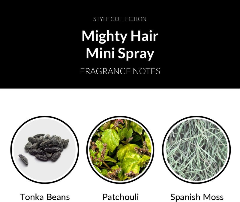 Number 4 Jour d'automne Mighty Hair Spray - Strong Hold Aerosol, 2.0 oz - Image 4