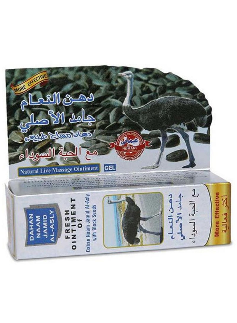 Dahan Naam With Blackseed Pain Relief Massage Cream Natural Herbal Fresh Ointment 40 ML