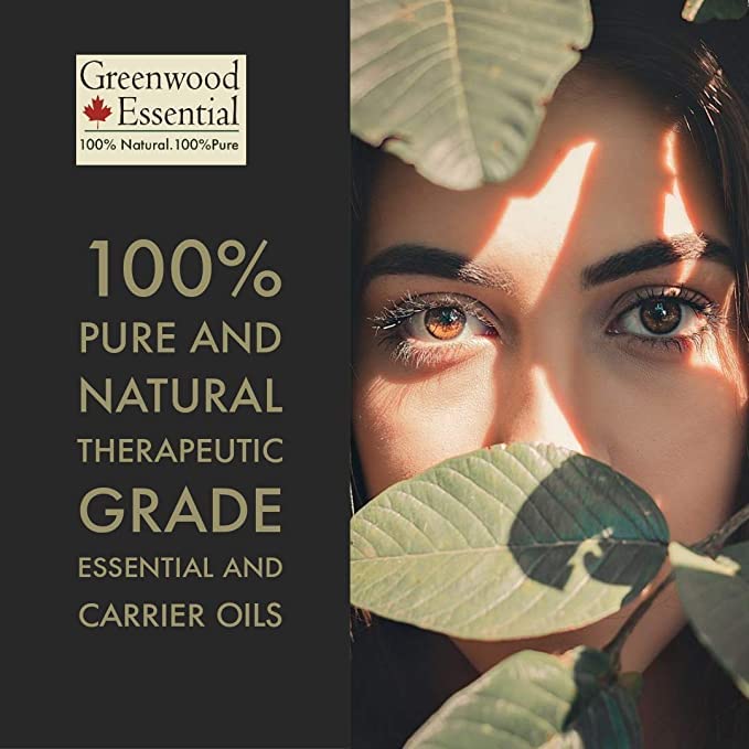 Greenwood Essential Greenwood Essential Celery Seed Essential Oil Apium graveolens Pure NonSticky Nongreasy Lightweight Men Women All Skin Types Steam Distilled 1250ml  - Image 3