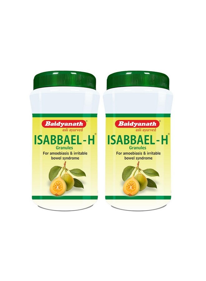 Baidyanath Isabbael H - 100 G (Pack of 2) - Image 1