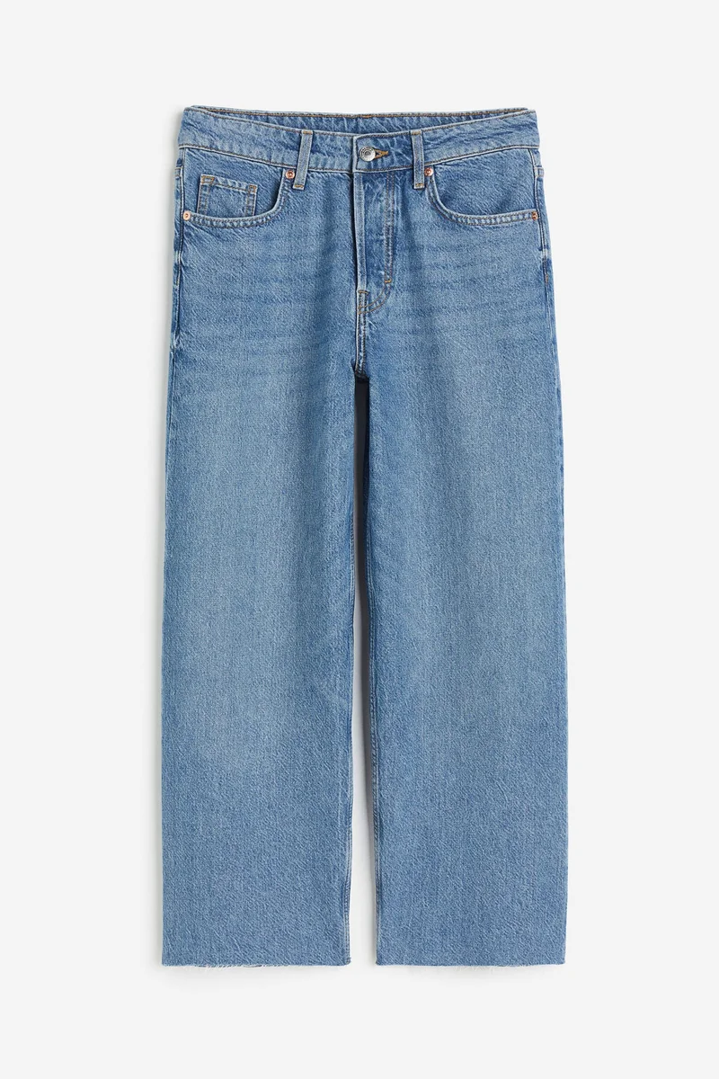 H&M Baggy Low Ankle Jeans