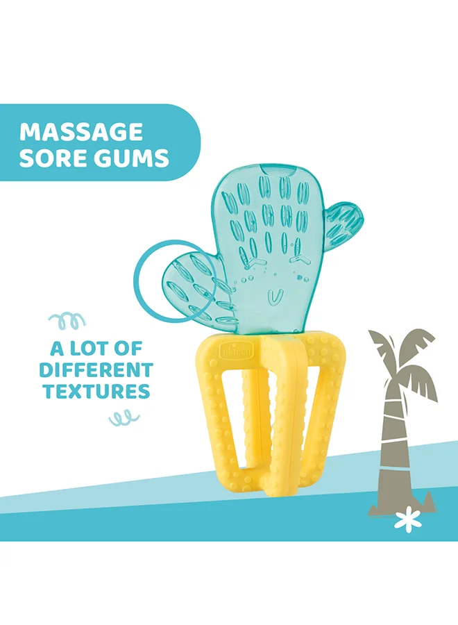 شيكو لهاية منعشة محايدة  أشهر فما فوق