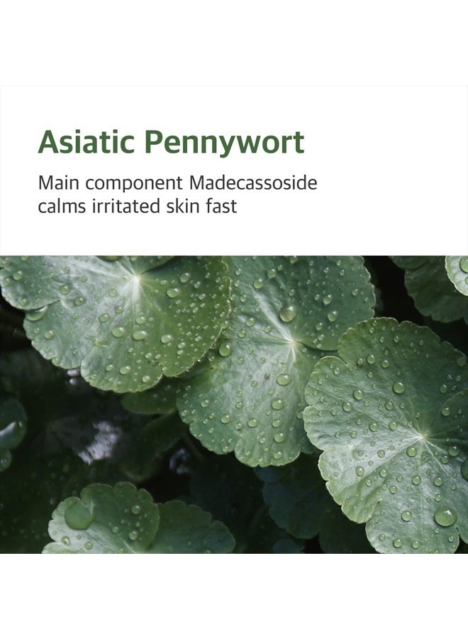 ROUND LAB Mugwort Calming Cream, 80 ml - Image 4