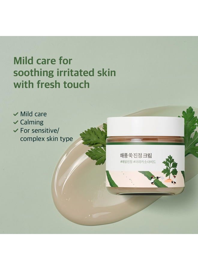ROUND LAB Mugwort Calming Cream 80ml / Soothing, Moisturizing, Madecassoside, Calming Cream - Image 2