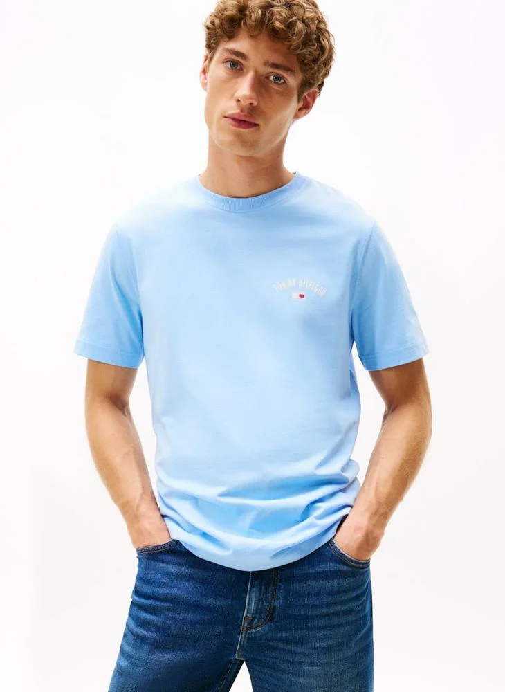 TOMMY HILFIGER Graphic Crew Neck T-Shirt