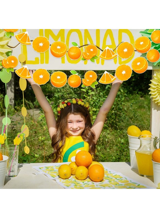Henoyso 4 Pcs Orange Party Decorations Orange Birthday Banner Citrus Slice Garland Citrus Party Decor Photo Backdrop Fruit Themed Baby Shower Decorations - Image 4