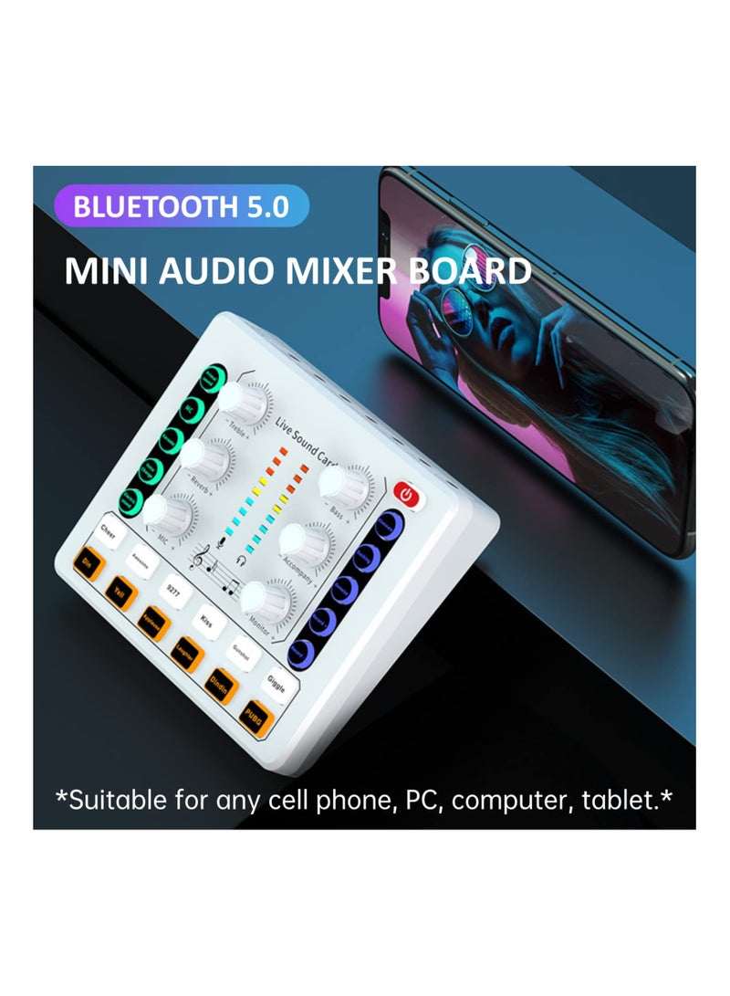 SOLARAE Mini Audio Mixer Sound Card for PC, Phone, PS4, Xbox, and Switch - Voice Changer for DJ Mixing, Podcasting, Karaoke Singing, and Music Recording. Perfect for Live Broadcasts! - Image 3