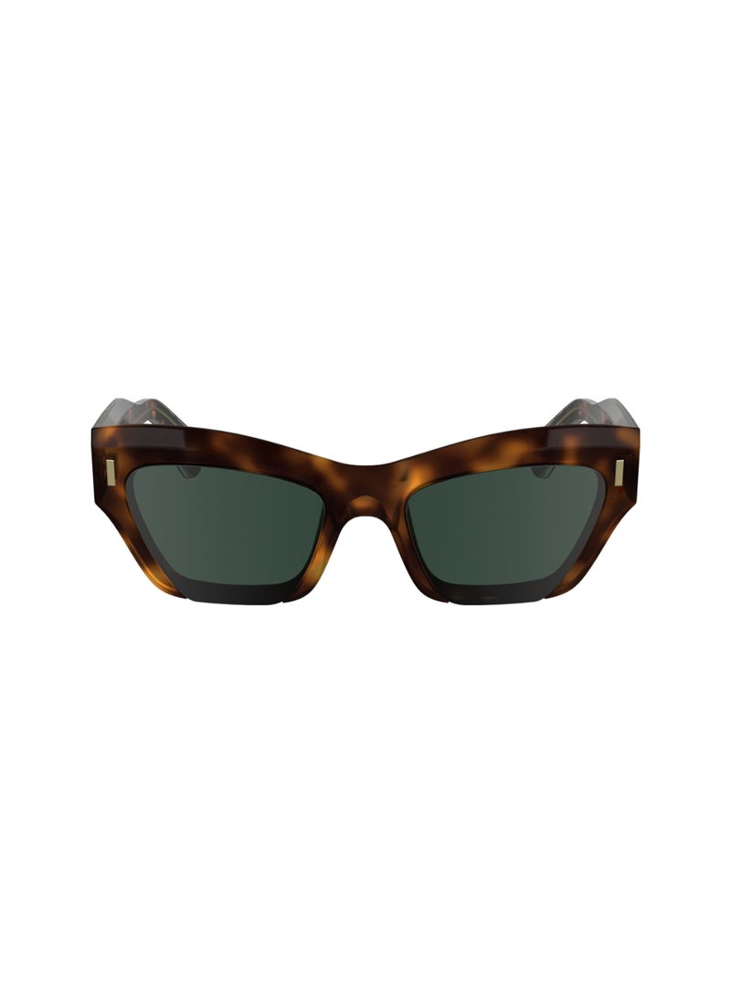 CALVIN KLEIN FULL RIM ACETATE ACETATE CALVIN KLEIN SUN CK24531S 5320 (240) HAVANA  - Image 2
