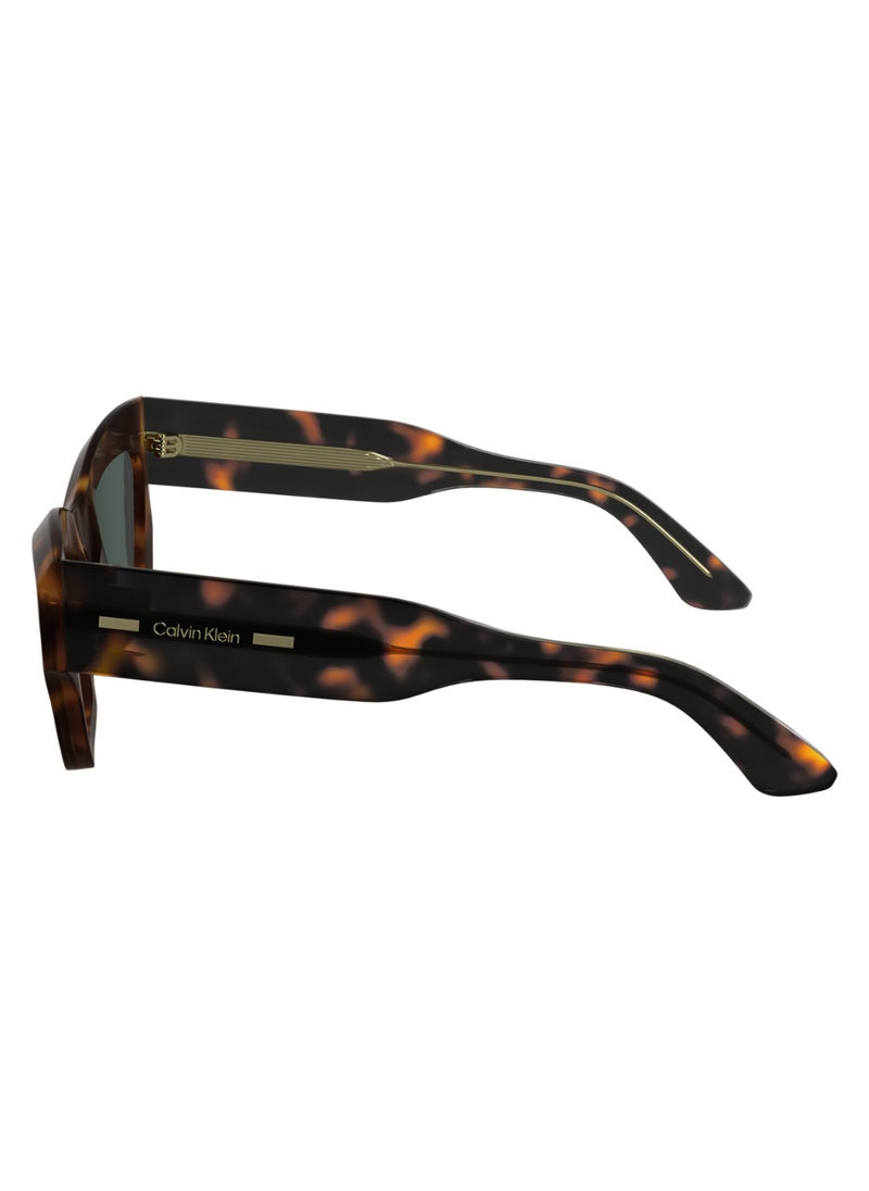CALVIN KLEIN FULL RIM ACETATE ACETATE CALVIN KLEIN SUN CK24531S 5320 (240) HAVANA  - Image 4
