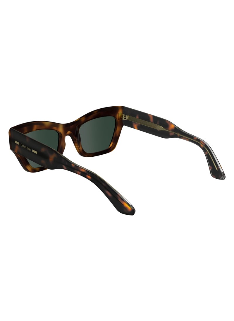CALVIN KLEIN FULL RIM ACETATE ACETATE CALVIN KLEIN SUN CK24531S 5320 (240) HAVANA  - Image 5
