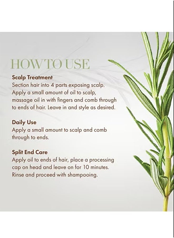 Mielle oil Rosemary - Rosemary Mint Biotin-Infused Hair Strengthening Oil - Daily Scalp Treatment & Split End Care, 2 Fl.oz (59ml) Nourishing Hair Care Oil - Image 1