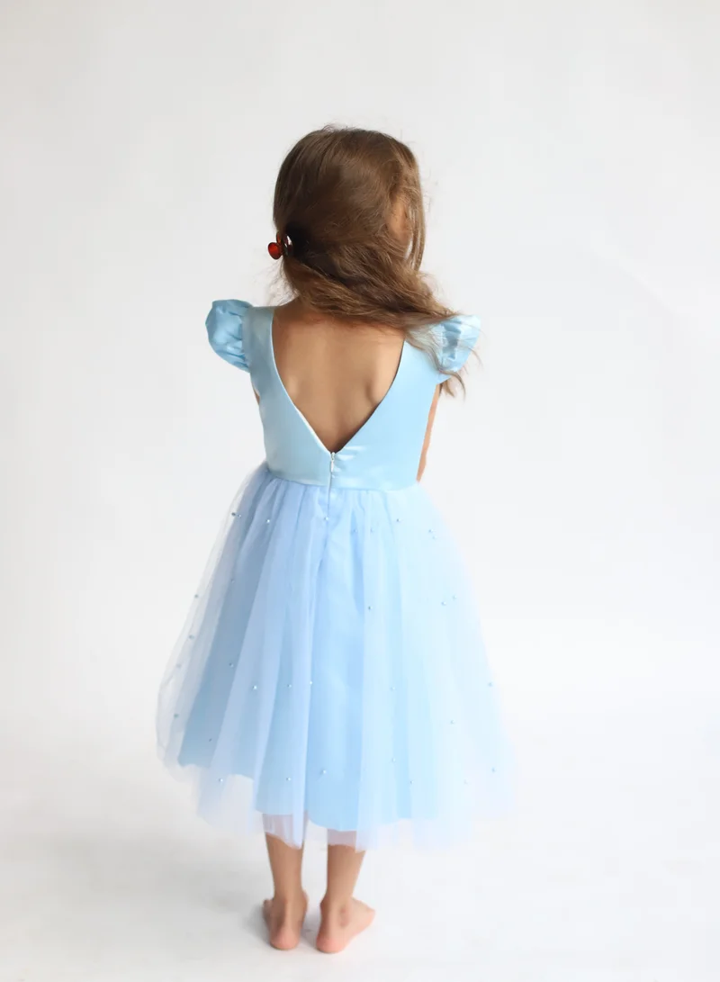 D'Daniela Anna Princess Blue Dress