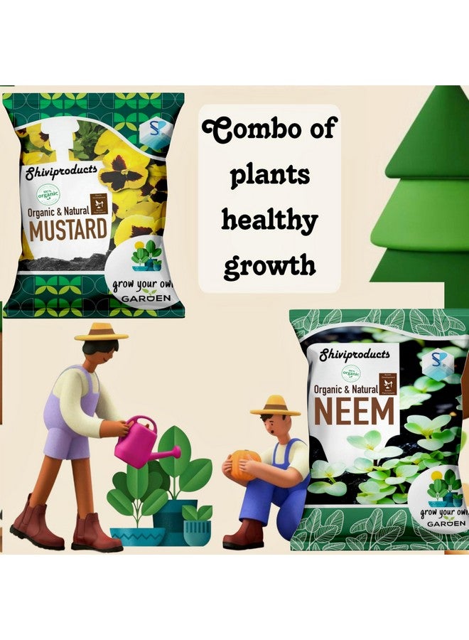 Shiviproducts مجموعة مسحوق الخردل ومسحوق النيم من شيفي (1 كجم + 900 جرام) - عبوة من 2 | أسمدة عضوية للنباتات في حديقة المنزل - Image 2
