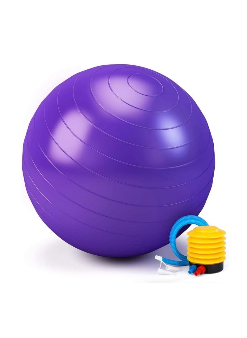 Yoga Ball, Exercise Ball with Air Pump, Thickened Stability Balance Ball for Physical Fitness Exercise - Image 1