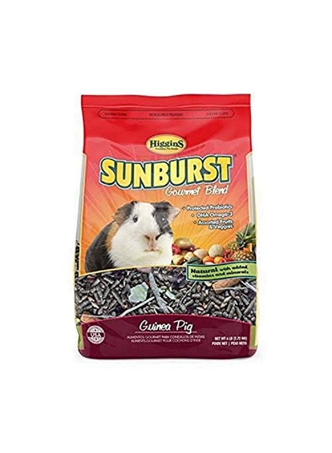 Higgins Sunburst Guinea Pig 6 Lbs