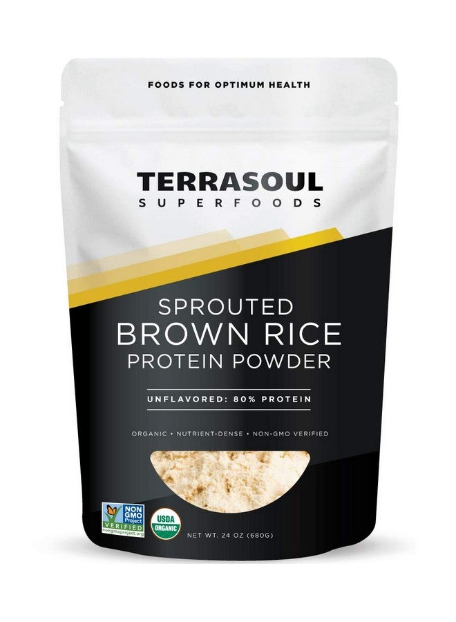 Health & Household Terrasoul Superfoods Organic Sprouted Brown Rice Protein Powder, 1.5 Pounds  - Image 1