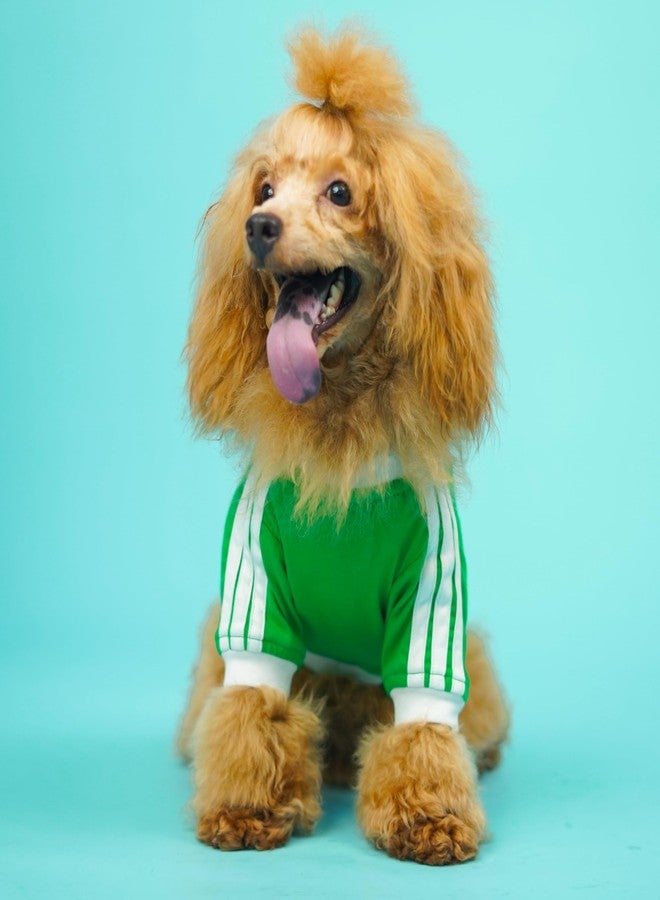 تيشيرت Pet's Way This Summer Dive in Stripes - (لون الغابة - مقاس 2XL) للكلاب | تيشيرت مريح ومناسب للحيوانات الأليفة | مقاس 2XL - مثالي لسلالات (بوكسر، إندي، الراعي البلجيكي، البلدغ، الدوبرمان، الدالماتيان) - Image 5