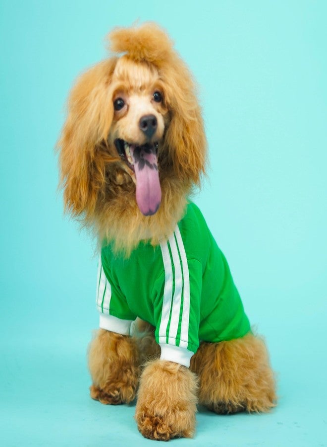 تيشيرت Pet's Way This Summer Dive in Stripes - (لون الغابة - مقاس 2XL) للكلاب | تيشيرت مريح ومناسب للحيوانات الأليفة | مقاس 2XL - مثالي لسلالات (بوكسر، إندي، الراعي البلجيكي، البلدغ، الدوبرمان، الدالماتيان) - Image 1