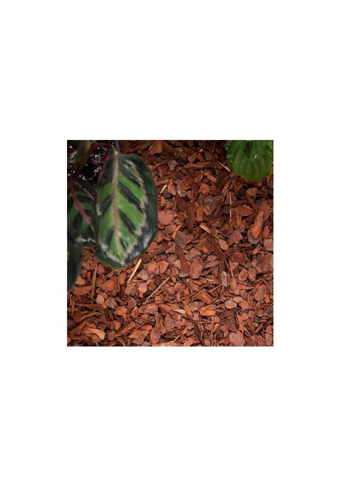 مهاد خشب لحاء الصنوبر 7 كجم - غطاء أرضي عضوي زخرفي للحدائق وتنسيق الحدائق - Image 2